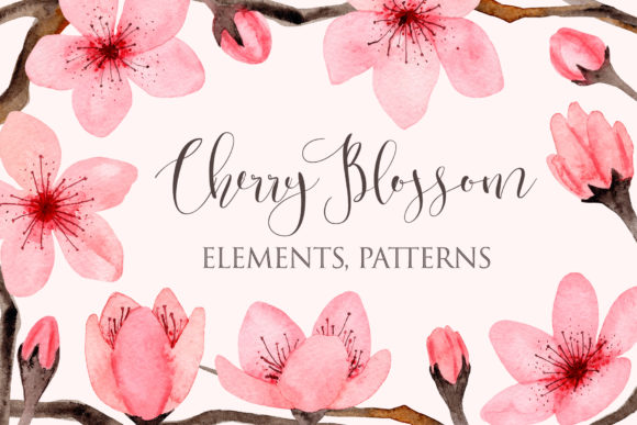 Download Watercolor Cherry Blossom. Patterns - Premium Resources